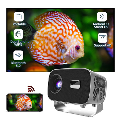 1080p Projector 100in